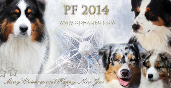 PF 2014