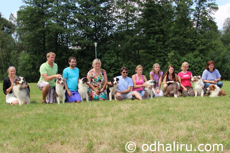 07_07_2012_grooming_and_handling_seminar_with_marko_mangry--s.jpg