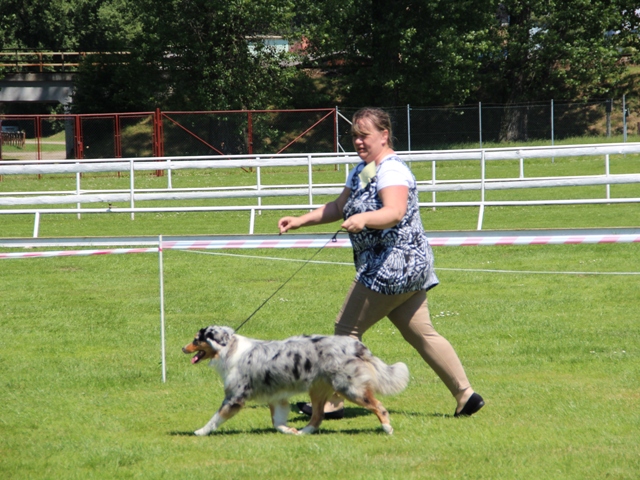 8. 6. 2014 Mladá Boleslav Barunka V3
