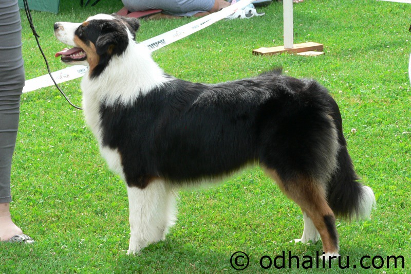 nina_nvp_klatovy_v2_30_06_2012.jpg