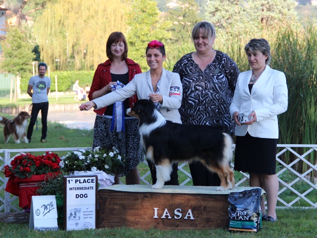 van-morrison-winner-intermediate-gold-cup-06-09-2014.jpg